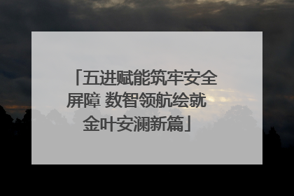 五进赋能筑牢安全屏障 数智领航绘就金叶安澜新篇