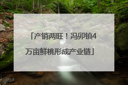 产销两旺！冯卯镇4万亩鲜桃形成产业链