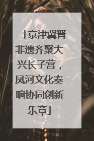 京津冀晋非遗齐聚大兴长子营，凤河文化奏响协同创新乐章