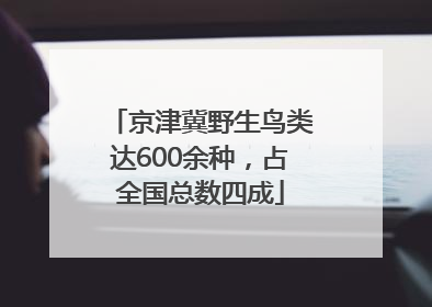 京津冀野生鸟类达600余种，占全国总数四成