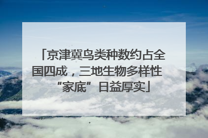 京津冀鸟类种数约占全国四成，三地生物多样性“家底”日益厚实