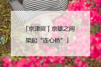 京津冀｜京雄之间架起“连心桥”