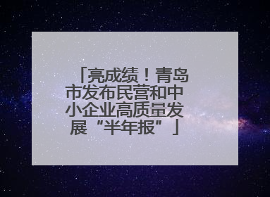 亮成绩！青岛市发布民营和中小企业高质量发展“半年报”