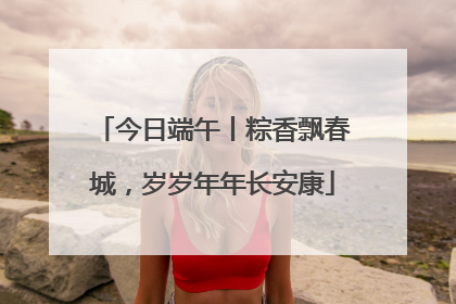 今日端午丨粽香飘春城，岁岁年年长安康