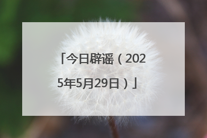 今日辟谣（2025年5月29日）