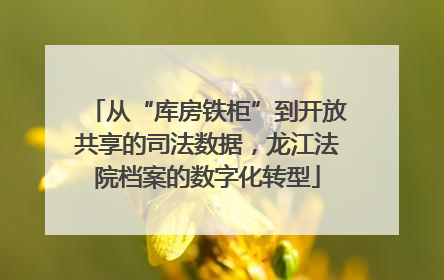 从“库房铁柜”到开放共享的司法数据，龙江法院档案的数字化转型