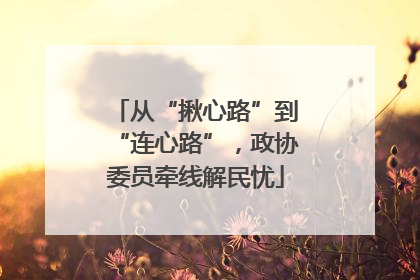 从“揪心路”到“连心路”，政协委员牵线解民忧