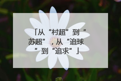 从“村超”到“苏超”，从“追球”到“追求”