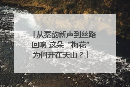 从秦韵新声到丝路回响 这朵“梅花”为何开在天山？