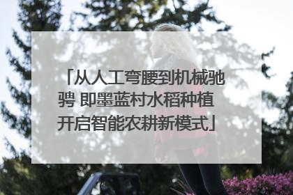 从人工弯腰到机械驰骋 即墨蓝村水稻种植开启智能农耕新模式