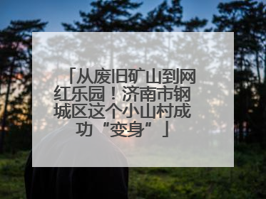 从废旧矿山到网红乐园！济南市钢城区这个小山村成功“变身”