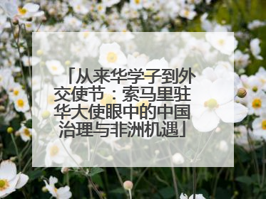 从来华学子到外交使节：索马里驻华大使眼中的中国治理与非洲机遇