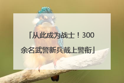 从此成为战士！300余名武警新兵戴上警衔