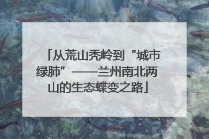 从荒山秃岭到“城市绿肺”——兰州南北两山的生态蝶变之路