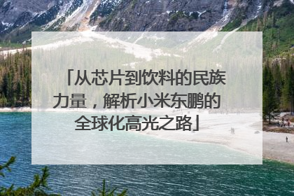 从芯片到饮料的民族力量，解析小米东鹏的全球化高光之路