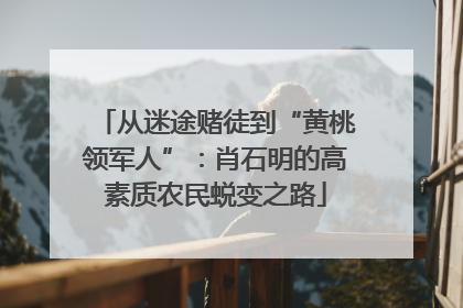 从迷途赌徒到“黄桃领军人”：肖石明的高素质农民蜕变之路