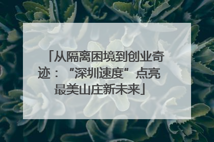 从隔离困境到创业奇迹：“深圳速度”点亮最美山庄新未来