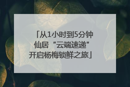 从1小时到5分钟 仙居“云端速递”开启杨梅锁鲜之旅