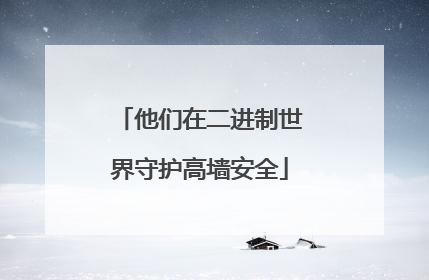 他们在二进制世界守护高墙安全