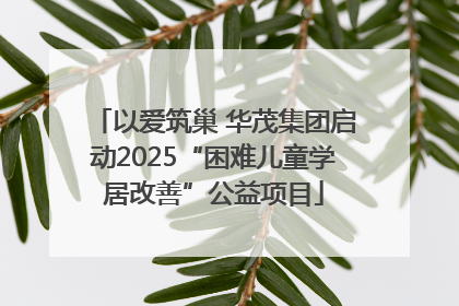 以爱筑巢 华茂集团启动2025“困难儿童学居改善”公益项目
