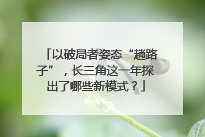 以破局者姿态“趟路子”，长三角这一年探出了哪些新模式？