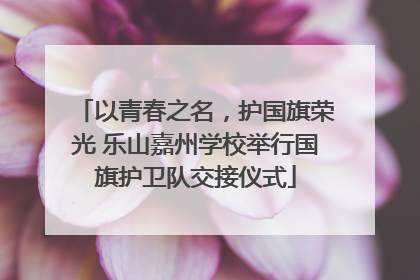 以青春之名，护国旗荣光 乐山嘉州学校举行国旗护卫队交接仪式
