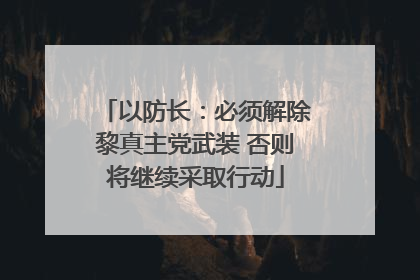 以防长：必须解除黎真主党武装 否则将继续采取行动