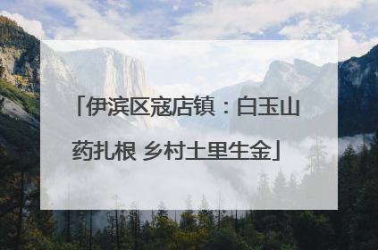 伊滨区寇店镇：白玉山药扎根 乡村土里生金