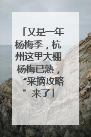 又是一年杨梅季，杭州这里大棚杨梅已熟，“采摘攻略”来了