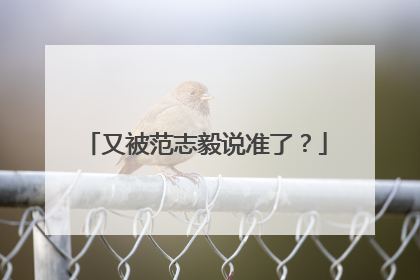 又被范志毅说准了？