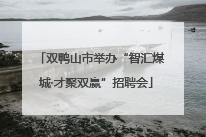 双鸭山市举办“智汇煤城·才聚双赢”招聘会