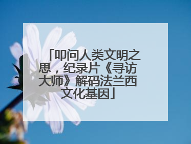 叩问人类文明之思，纪录片《寻访大师》解码法兰西文化基因