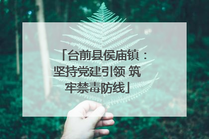 台前县侯庙镇：坚持党建引领 筑牢禁毒防线