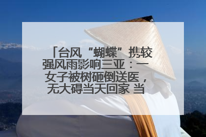 台风“蝴蝶”携较强风雨影响三亚：一女子被树砸倒送医，无大碍当天回家 当地已紧急清障