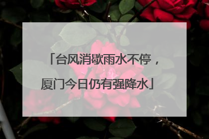 台风消歇雨水不停，厦门今日仍有强降水