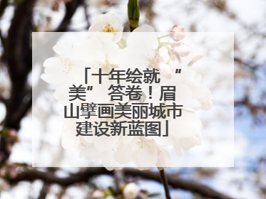 十年绘就 “美” 答卷！眉山擘画美丽城市建设新蓝图