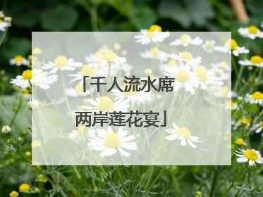 千人流水席 两岸莲花宴