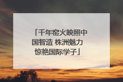 千年窑火映照中国智造 株洲魅力惊艳国际学子