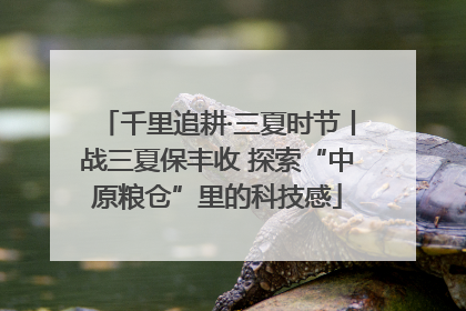 千里追耕·三夏时节丨战三夏保丰收 探索“中原粮仓”里的科技感