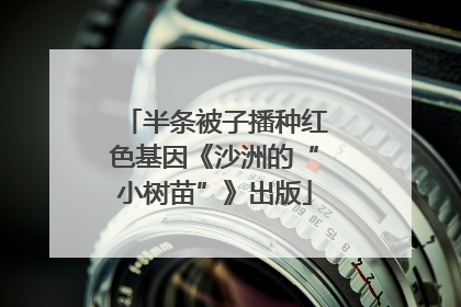 半条被子播种红色基因《沙洲的“小树苗”》出版