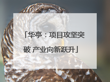 华亭：项目攻坚突破 产业向新跃升