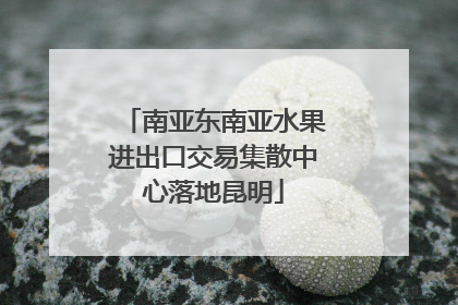 南亚东南亚水果进出口交易集散中心落地昆明