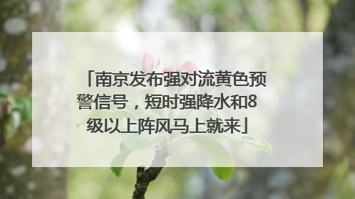 南京发布强对流黄色预警信号，短时强降水和8级以上阵风马上就来