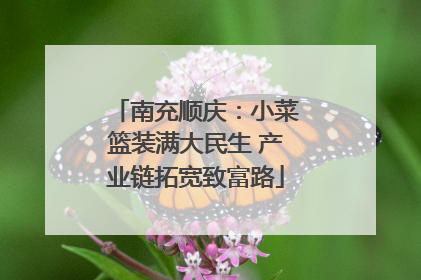 南充顺庆：小菜篮装满大民生 产业链拓宽致富路