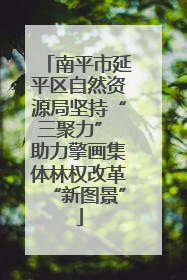 南平市延平区自然资源局坚持“三聚力” 助力擎画集体林权改革“新图景”