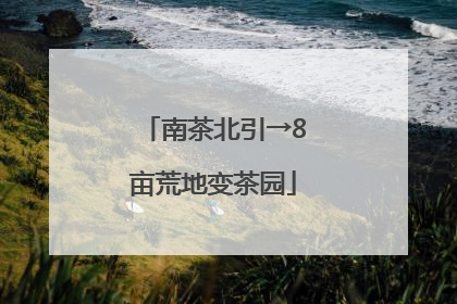 南茶北引→8亩荒地变茶园