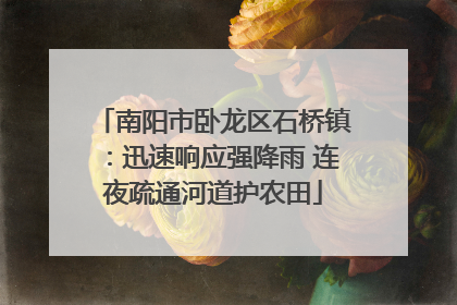 南阳市卧龙区石桥镇：迅速响应强降雨 连夜疏通河道护农田