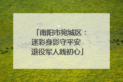 南阳市宛城区：迷彩身影守平安 退役军人践初心