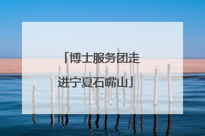 博士服务团走进宁夏石嘴山