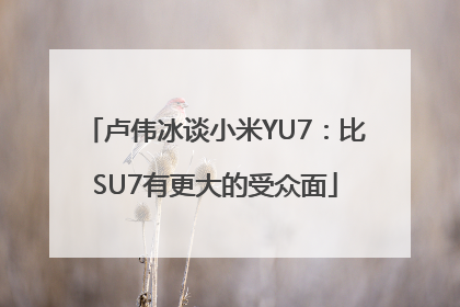 卢伟冰谈小米YU7：比SU7有更大的受众面
